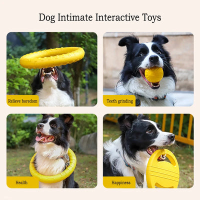 EVA Durable Dog Toys Pack