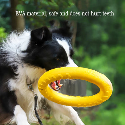 EVA Durable Dog Toys Pack