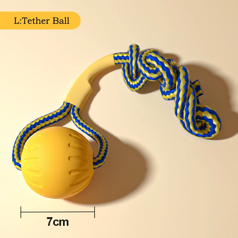 EVA Durable Dog Toys Pack