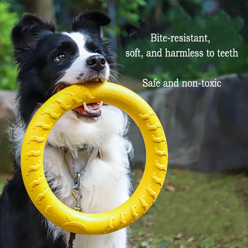 EVA Durable Dog Toys Pack