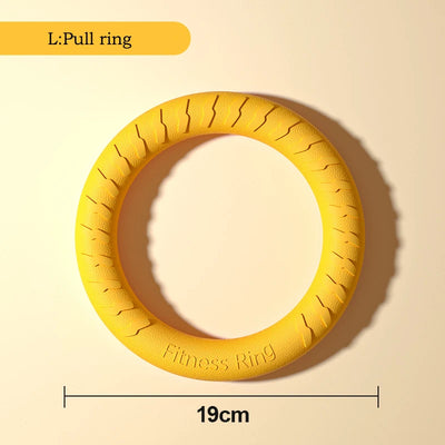 EVA Durable Dog Toys Pack